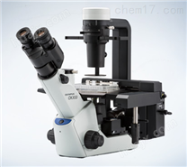 奥林巴斯CKX53倒置显微镜供应商
